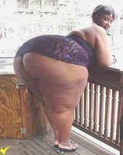 tatorie
